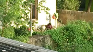 দ্য বেড পর্ণ-এ মোমি'স গার্ল থেকে প্রলোভনসঙ্কুল ক্লো টেম্পল এবং বাংলাচুদাচুদি দাও মোনা ওয়েলস